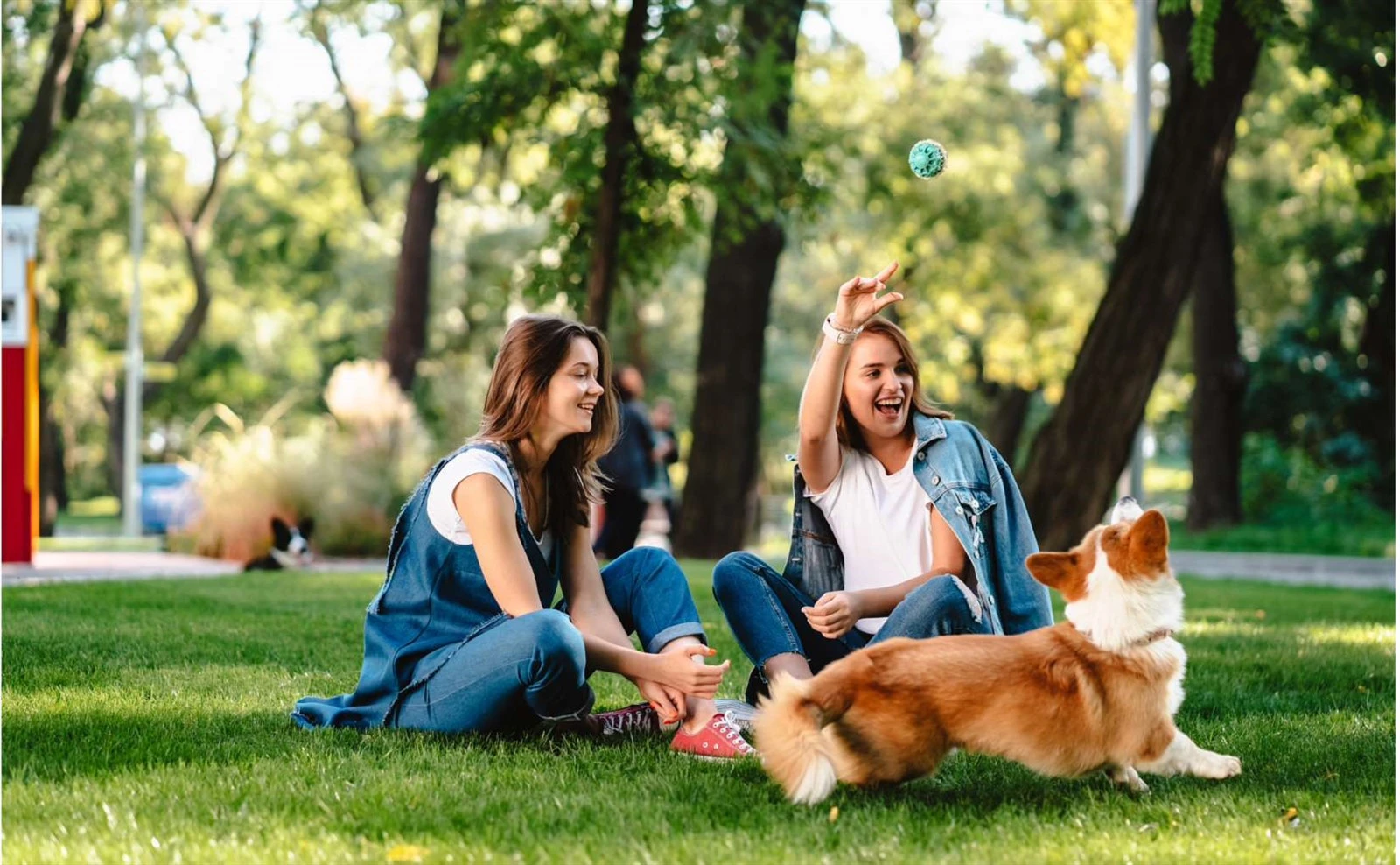Warum Beutel mit flachem Boden ein Game-Changer für Tiernahrungs- und Snackmarken sind